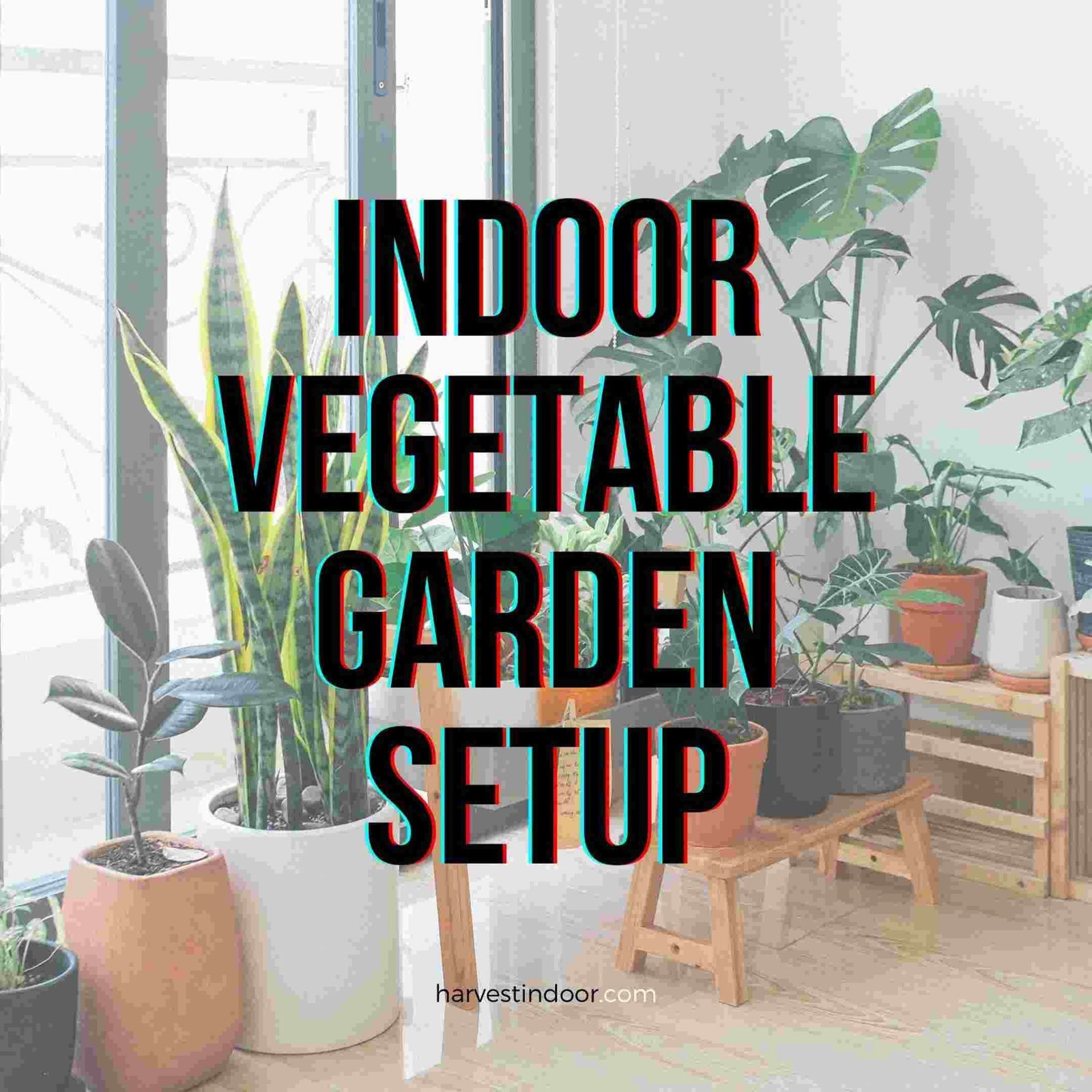 Why Are These The Best Indoor Vegetable Garden Setups Harvest Indoor