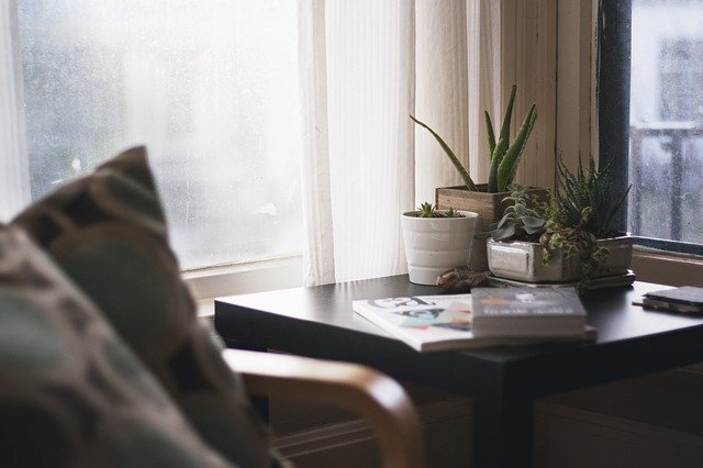 5 best air purifying plants for bedrooms.