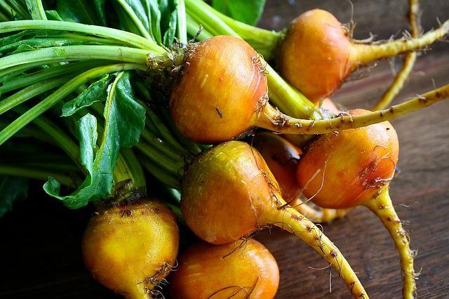 10 Shallow Root Vegetables You Can Grow in Containers