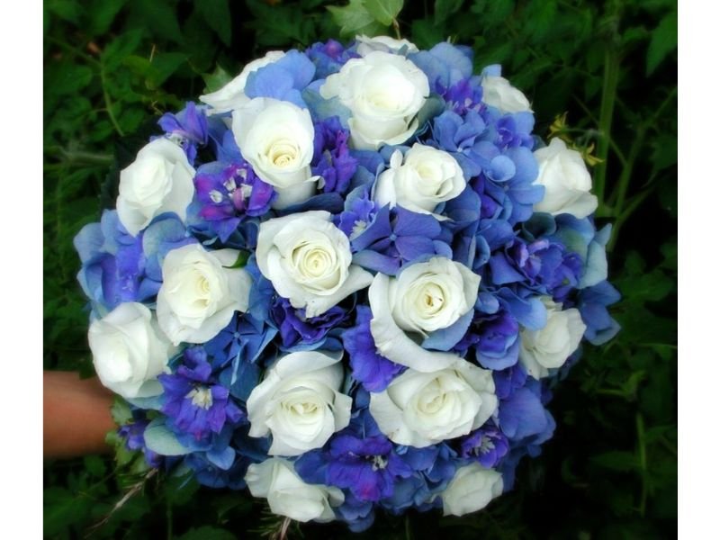 French Hydrangea (Hydrangea) Bouquet 
