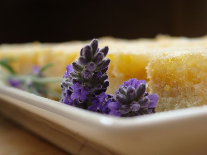 lavender purple flowers and cake