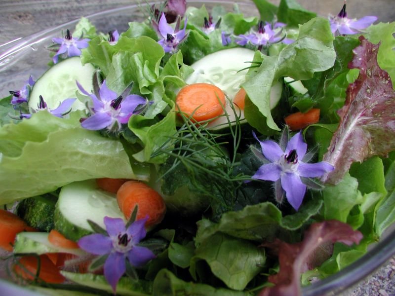 Rosemary salad edible blue flowers