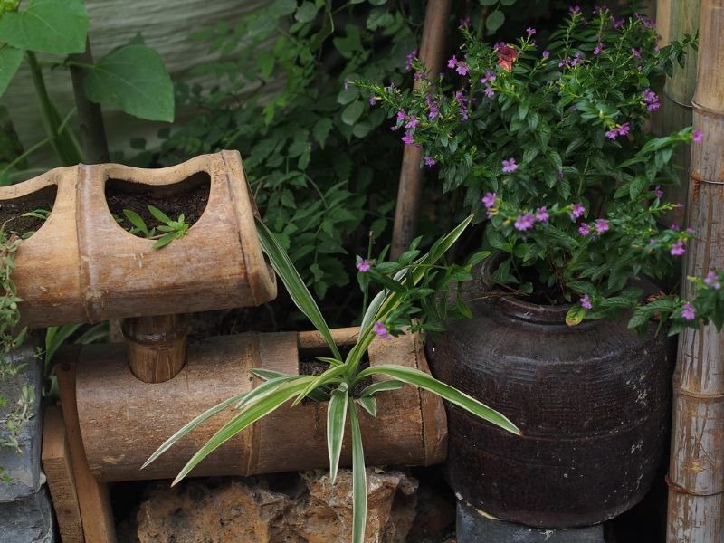 Bamboo pots