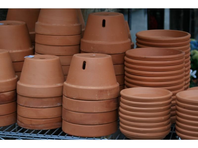 philodendron terra cota pots