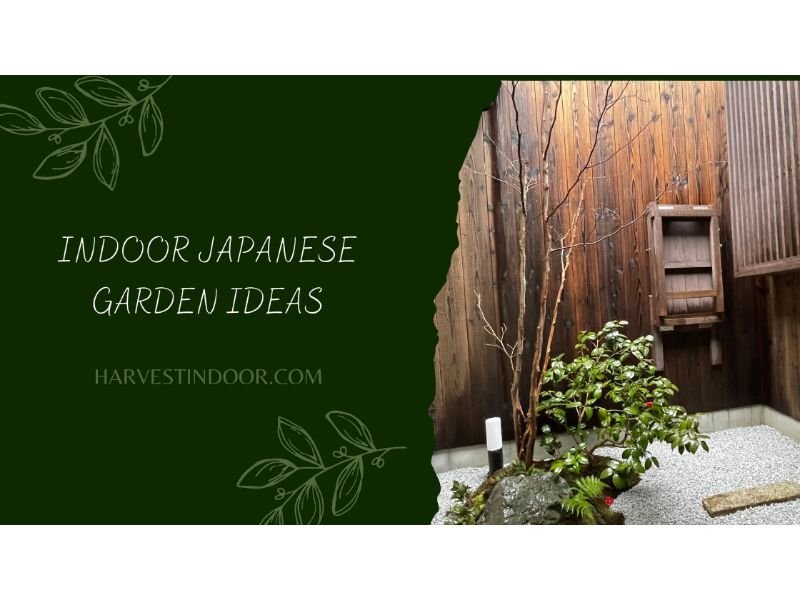 Indoor Japanese Garden Ideas