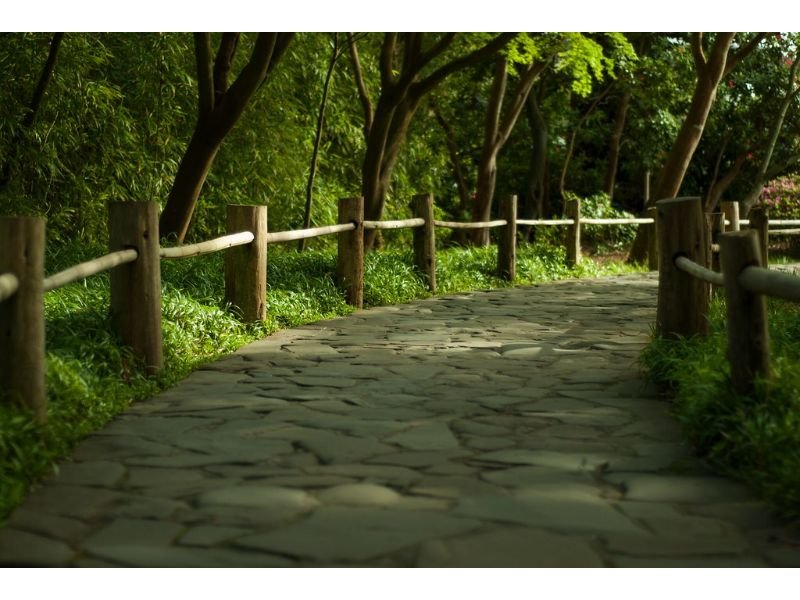 Small Japanese Garden stone pathway 