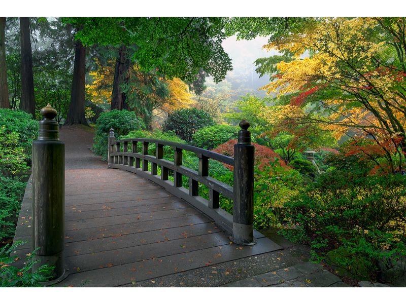 bridge asian japanese china garden style