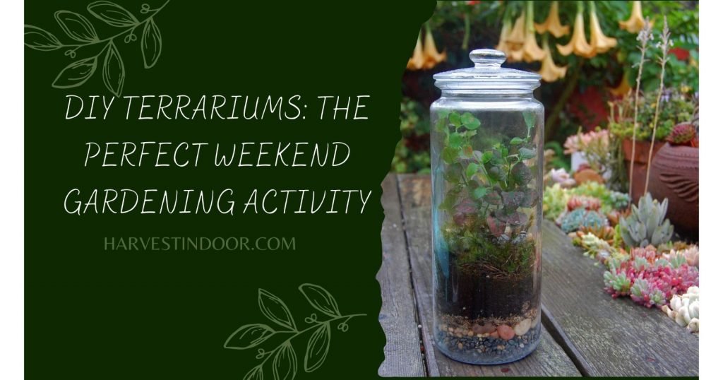 DIY Terrariums The Perfect Weekend Gardening Activity