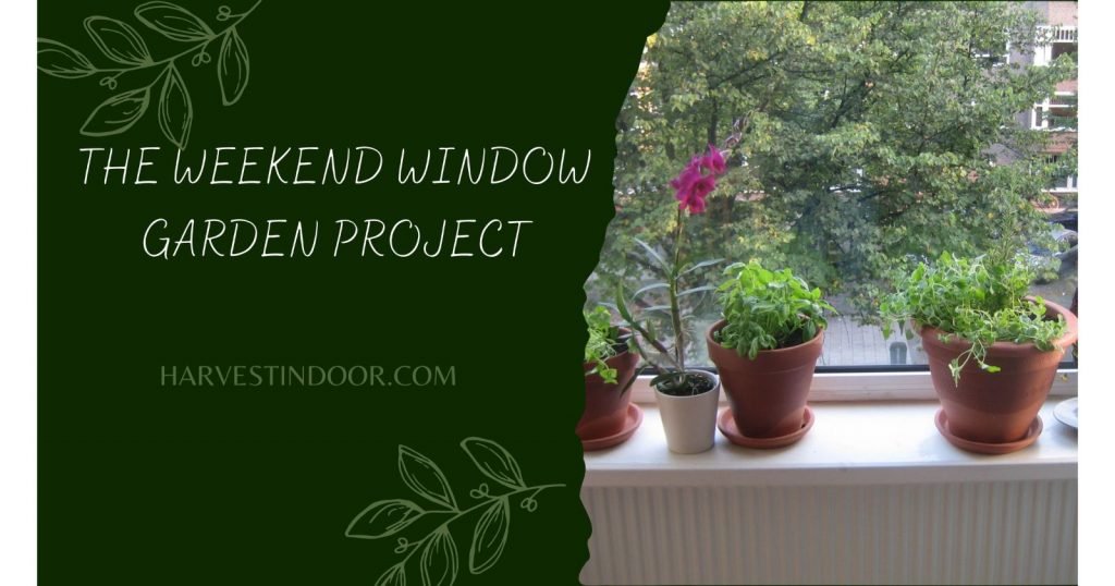 The Weekend Window Garden Project