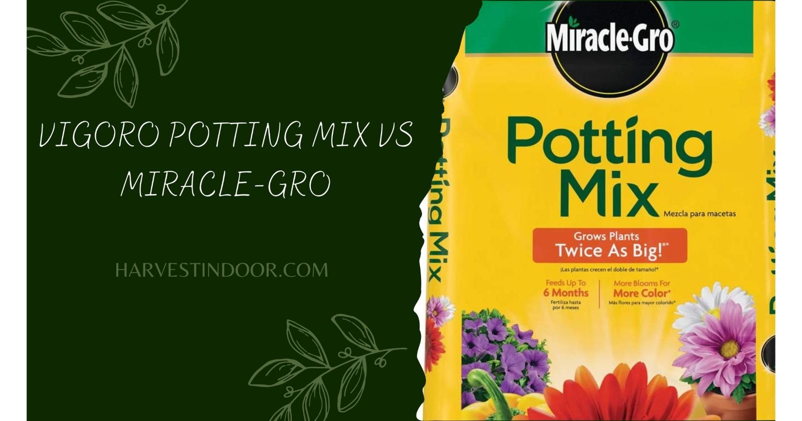 Vigoro Potting Mix vs MiracleGro Which One is the Best for Your