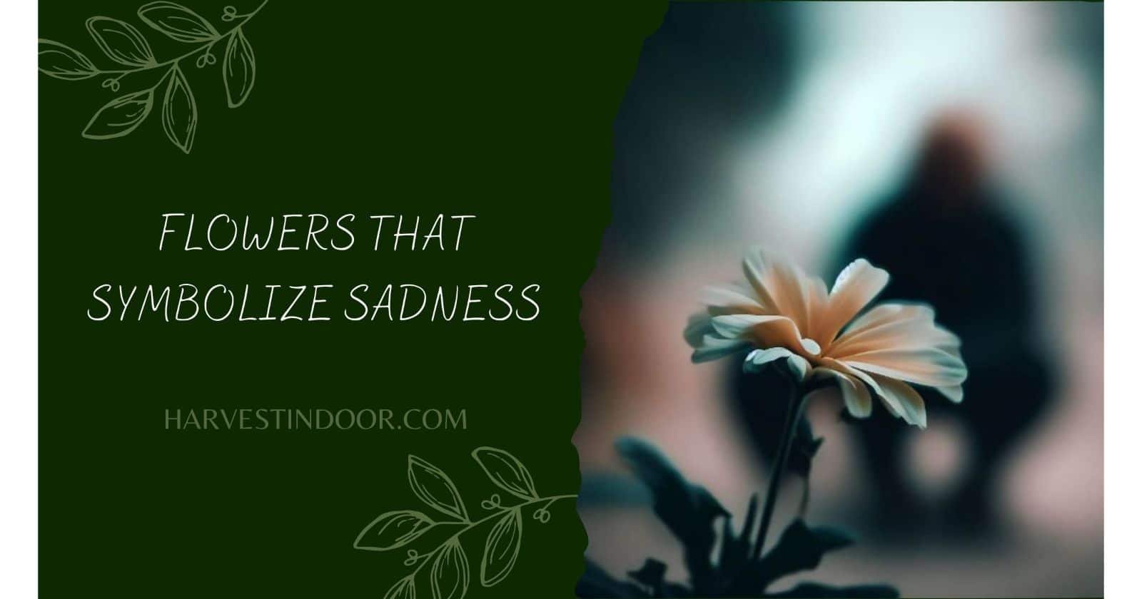 Flowers That Symbolize Sadness Harvest Indoor