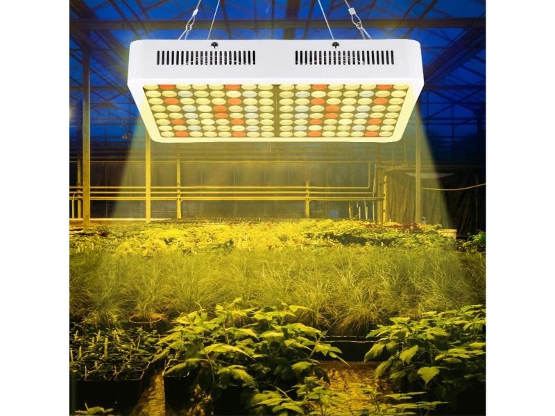 plant grow light indoors light artificial 