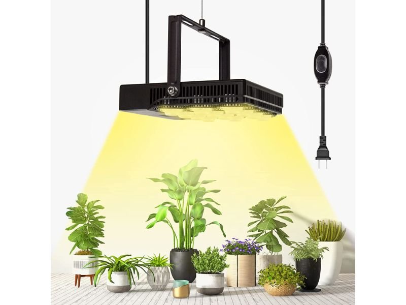 The Best Indoor Plant Grow Lights for Thriving Houseplants