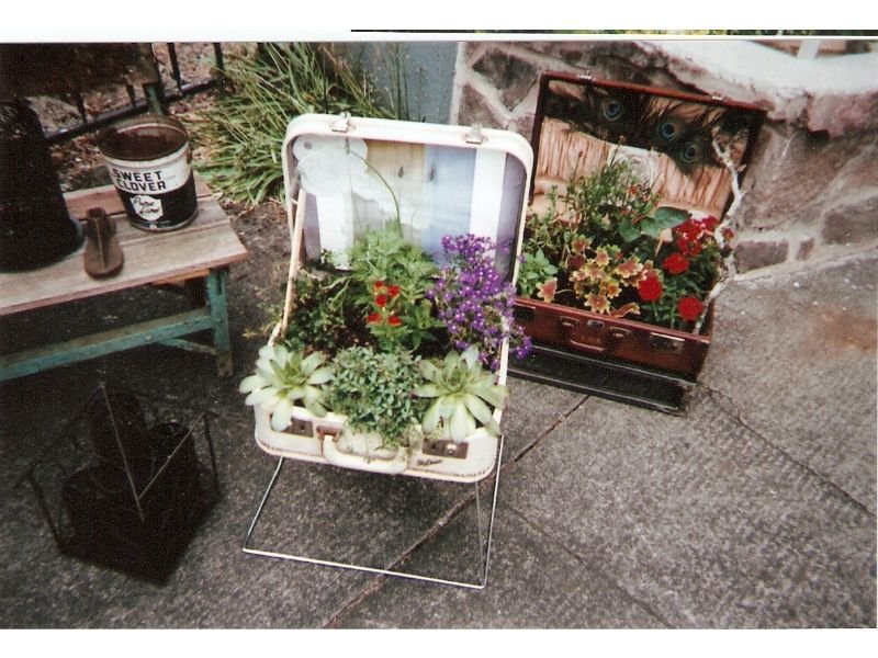 Suitcase Garden planter