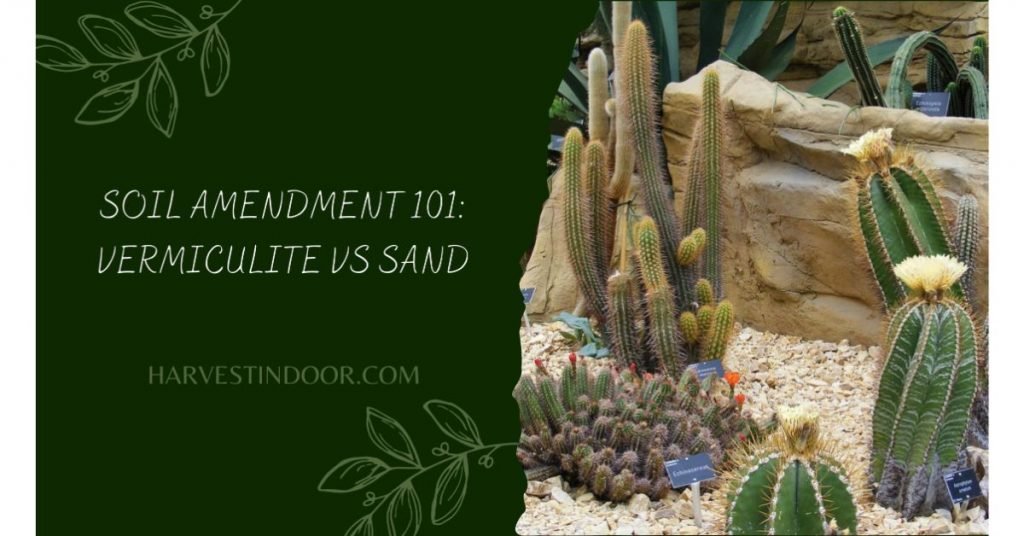 vermiculate vs sand