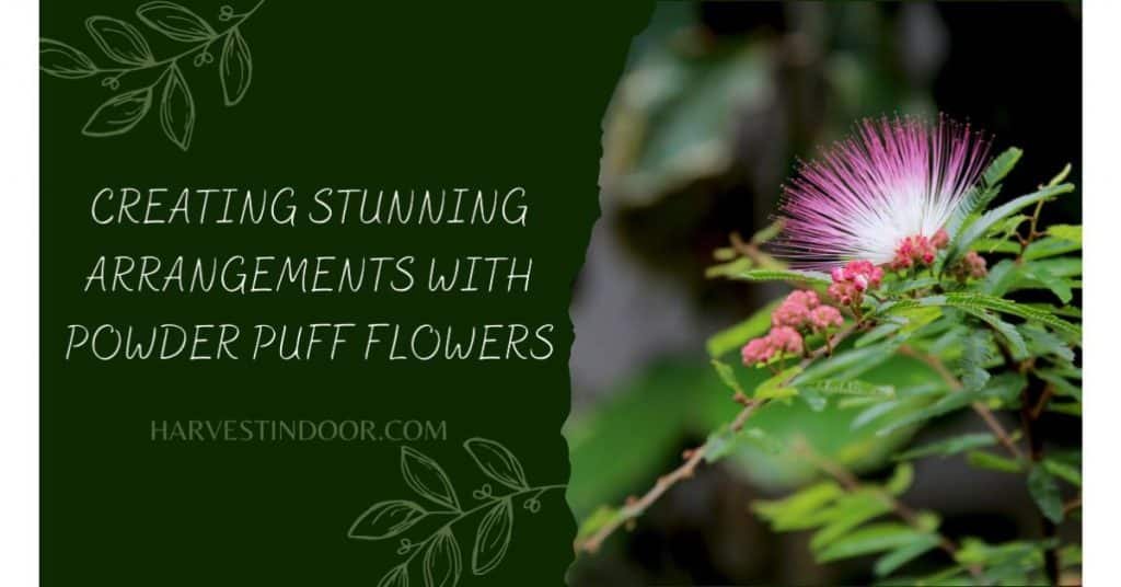 Creating Stunning Arrangements with Powder Puff Flowers