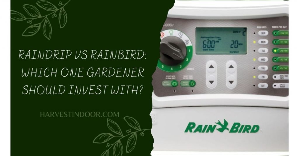 Raindrip vs Rainbird Which One Gardener Should Invest With