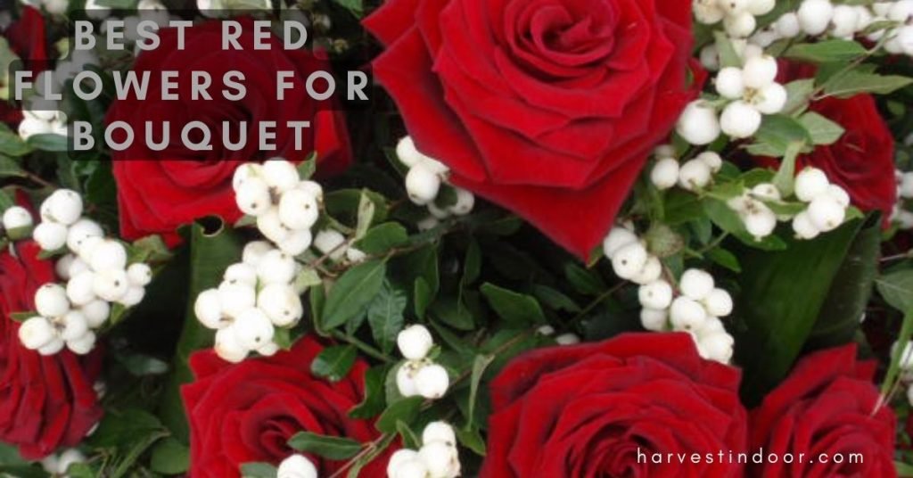 Best Red Flowers for Bouquet