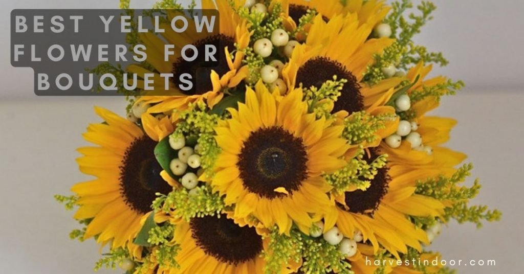 Best Yellow Flowers for Bouquets