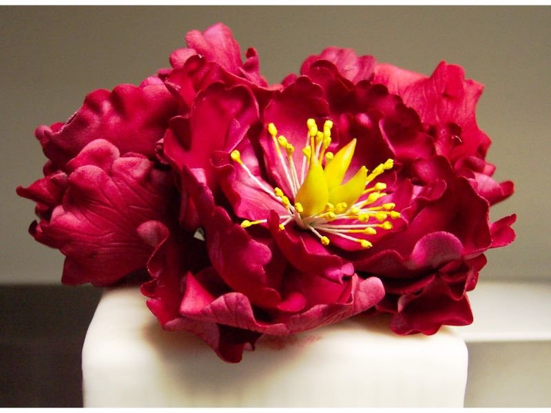 Peonies red flowers bouquets 