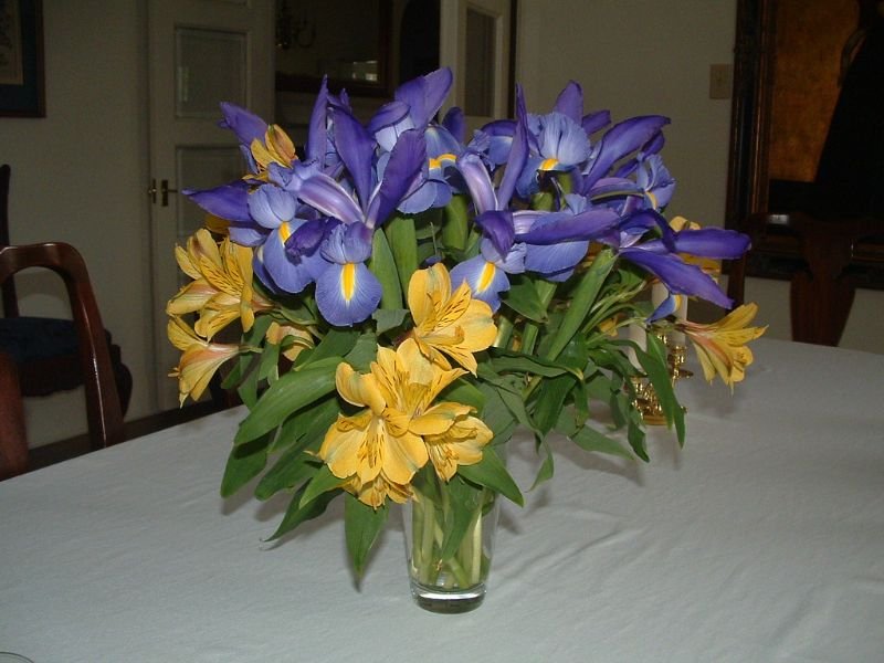 Irises, Yellow Flowers for Bouquets